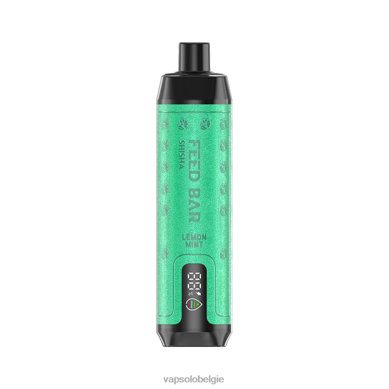 VapSolo SHISHA wegwerp damp | Vapsolo België 0B20N7 citroen munt