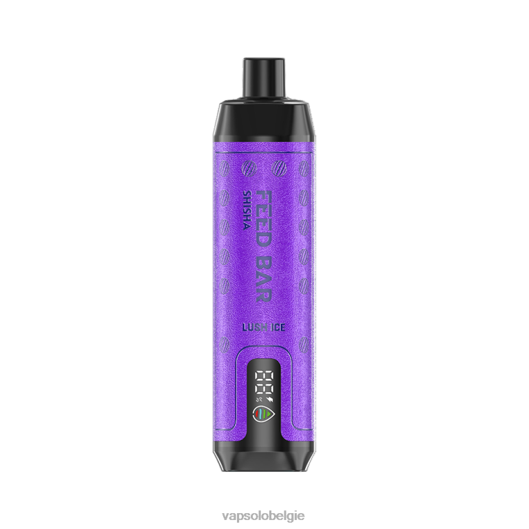VapSolo SHISHA wegwerp damp | Vapsolo Brussel 0B20N8 weelderig ijs