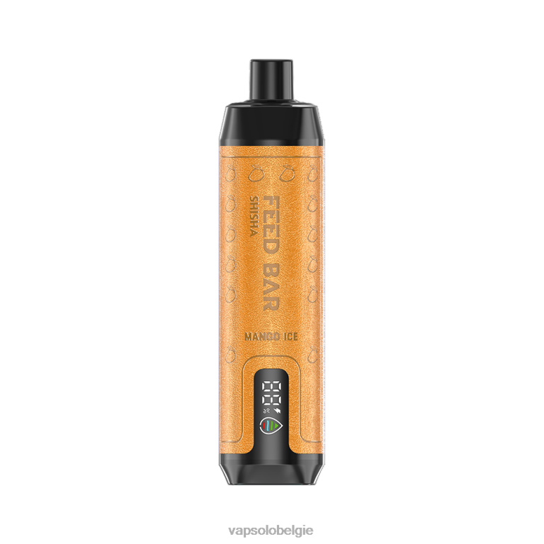 VapSolo SHISHA wegwerp damp | Vapsolo Kopen 0B20N9 mango-ijs