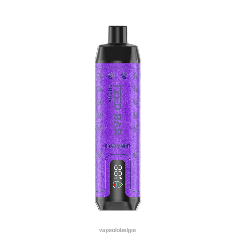 VapSolo SHISHA wegwerp damp | Vapsolo Vapes 0B20N6 druiven munt
