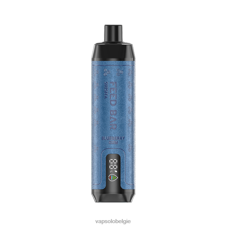 VapSolo SHISHA wegwerp damp | Vapsolo Wholesale 0B20N4 bosbessengom