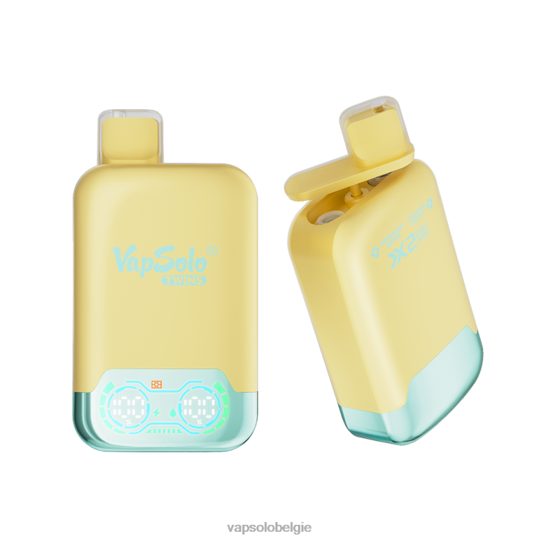 VapSolo TWINS wegwerp damp | Vapsolo België 0B20N31 ananas-kokosnoot & aardbei-banaan