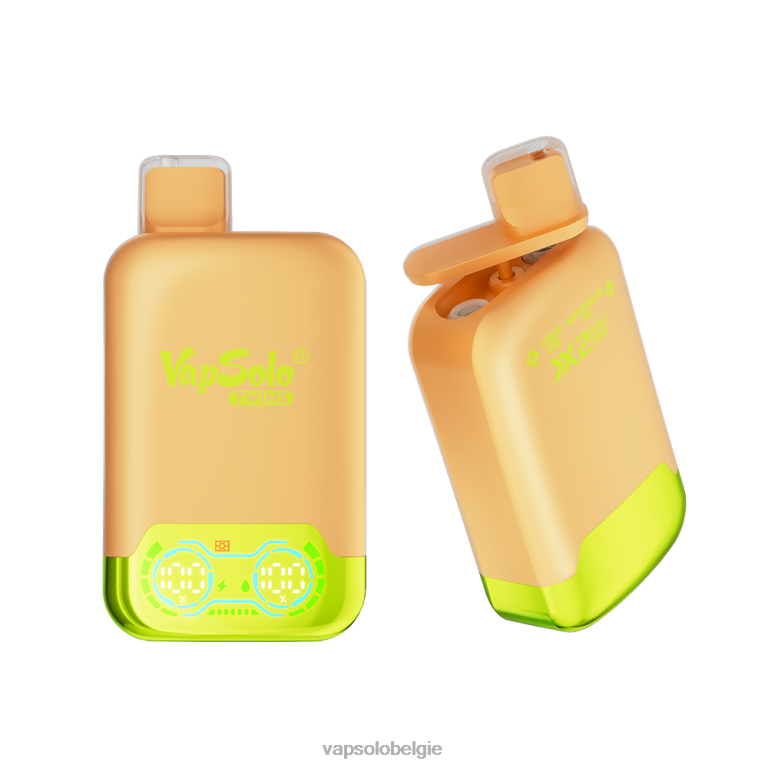 VapSolo TWINS wegwerp damp | Vapsolo Vape 0B20N29 citroen-limoen- en watermeloenijs