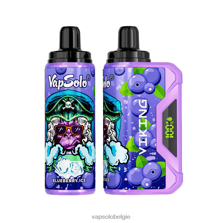 VapSolo VIKING wegwerp damp | Vapsolo Vapes 0B20N36 bosbes